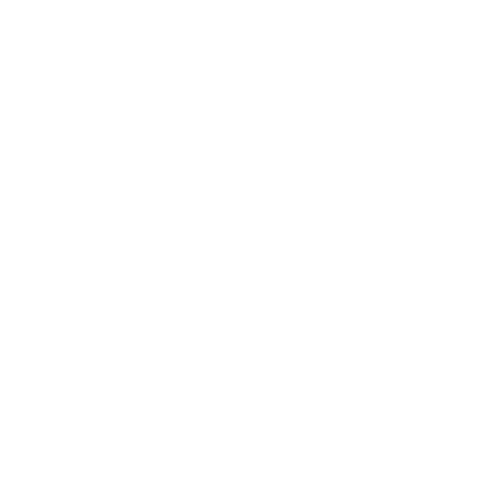 Zoraen logo
